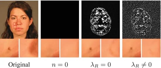 Open access visualization of Photo, Embedding quality, Noise optimization, Nose-region attribute, Image editing