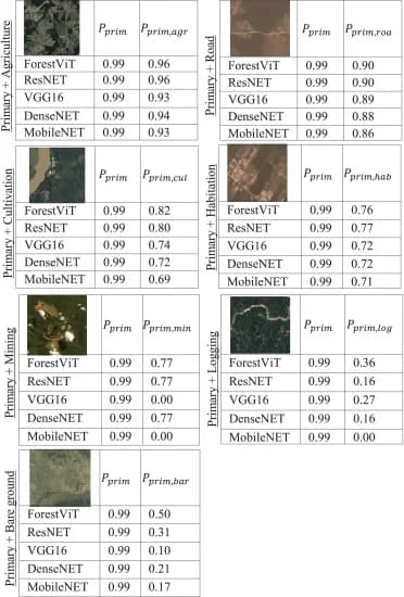 Open access visualization of Table Image, Probability, ForestViT, ResNET, VGG16