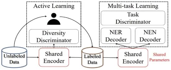 Open access visualization of Workflow, Flowchart, Illustration, MTL Transfer Learning, Knowledge Transfer