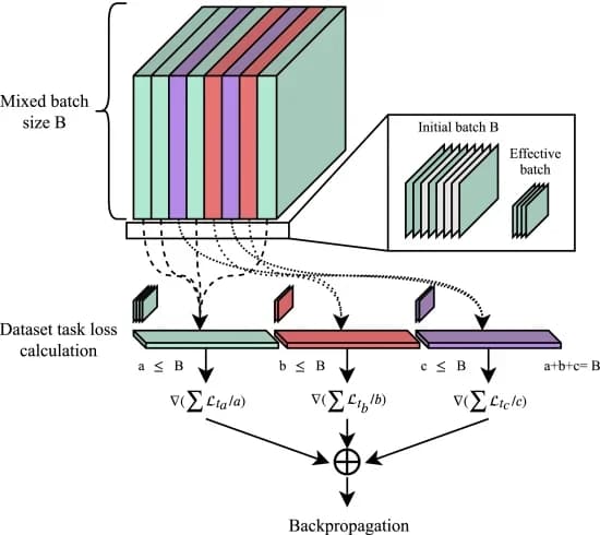 Open access visualization of Workflow, Flowchart, Loss approximation, Subsampling, Task-specific losses