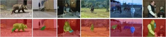 Open access visualization of Photo, Segmentation, Articulated Motion, AOMC