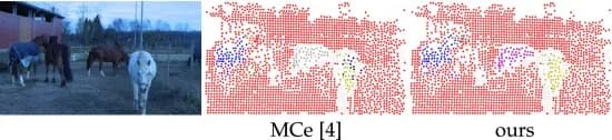 Open access visualization of Photo, Motion Model, Segmentation, AOMC