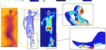 Open access visualization of 3D Plot, Heatmap, Limb Interpenetration, BPWnet, Scenarios