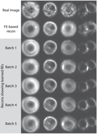 Open access visualization of Microscopy, Melanoma Cell, Reconstruction, Fixed Effects, Random Effects