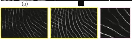 Open access visualization of Microscopy, FingerGAN-noOF, Latent Fingerprint, Minutiae, Image Enhancement