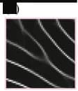 Open access visualization of Microscopy, FingerGAN, Latent Fingerprint, Minutiae, Image Enhancement