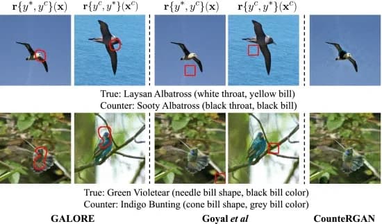 Open access visualization of Photo, Counterfactual Explanations, GALORE, CounteRGAN