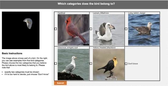 Open access visualization of Photo, MTurk interface, Human evaluation, Deliberative explanations
