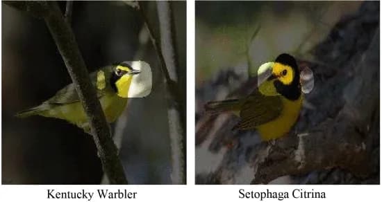 Open access visualization of Photo, Machine Teaching, Experiment