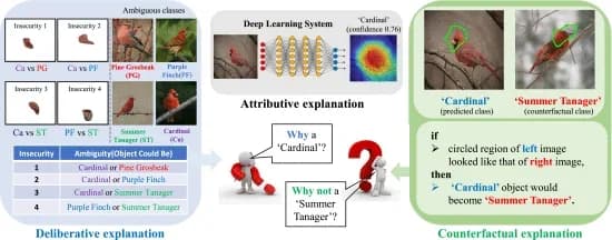 Open access visualization of Workflow, Illustration, Explainable Deep Learning, Attributive Explanations, Deliberative Explanations