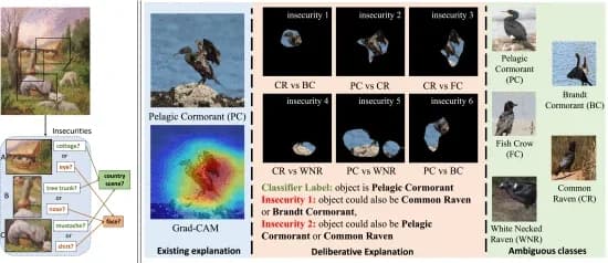 Open access visualization of Workflow, Illustration, Photo, Ambiguous Image, Deliberative Explanations