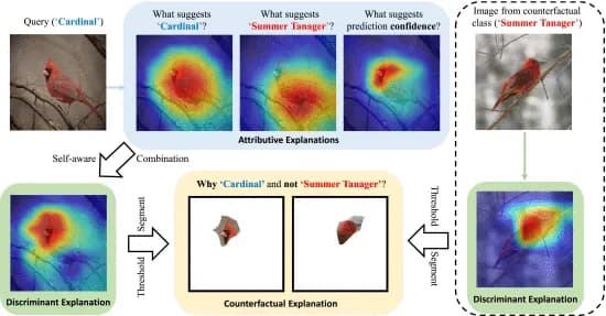 Open access visualization of Workflow, Illustration, Counterfactual Explanation, Discriminant Explanations, Attribution Maps