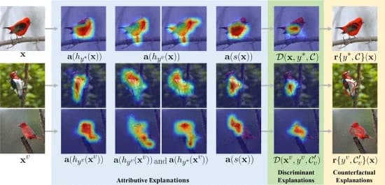 Open access visualization of Workflow, Counterfactual Explanation, Scarlet Tanager, Red Headed Woodpecker, Summer Tanager