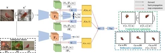 Open access visualization of Workflow, Flowchart, GALORE, Explanation Architecture, Feature Activations