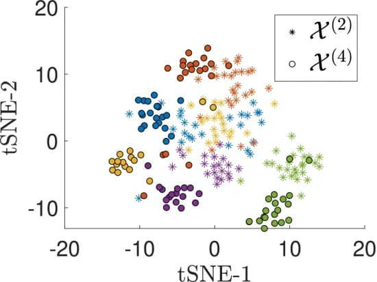 Open access visualization of Scatter Plot, UMAP, PCA, tSNE, Covariance Matrices