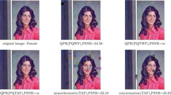 Open access visualization of Photo, Simulations, Phaseless Measurements, Reconstructed Images, Algorithms