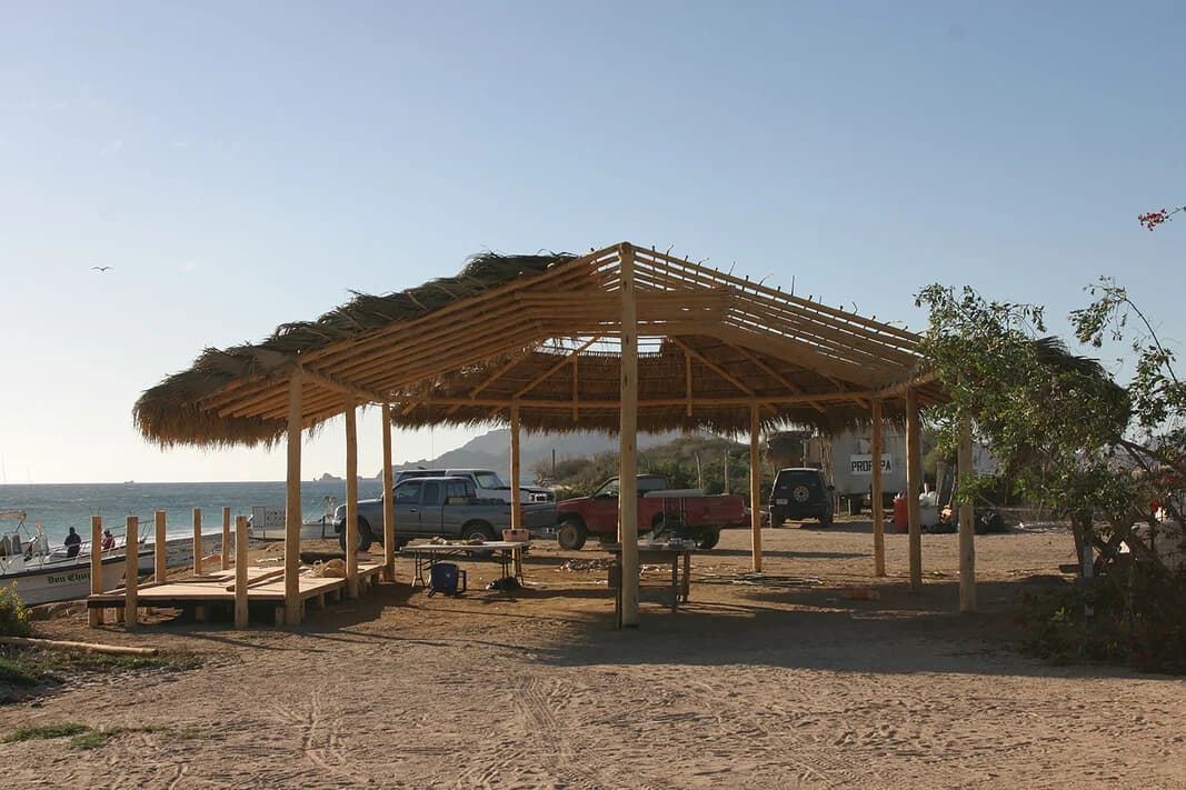 Open access visualization of Photo, Photograph, Beachside palapa, Construction