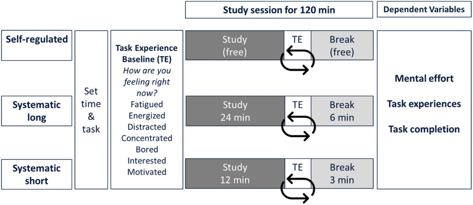 Open access visualization of Workflow, Flowchart, Study Procedure, Self-Regulated Breaks, Systematic Long Breaks