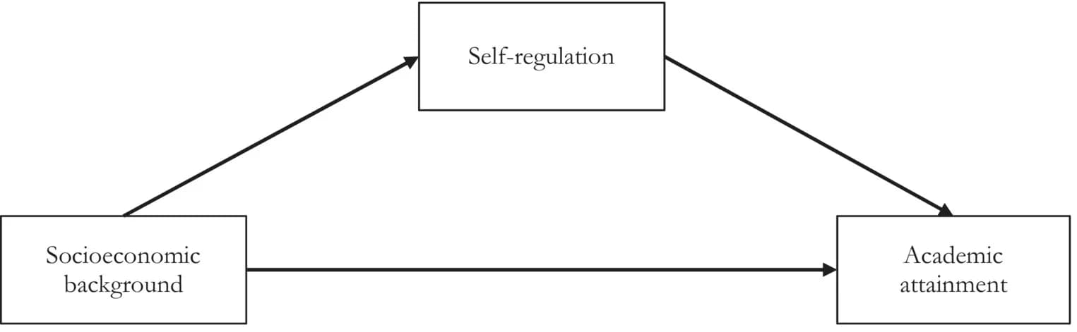 Open access visualization of Workflow, Flowchart, Illustration, Theoretical Model, Self-Regulation