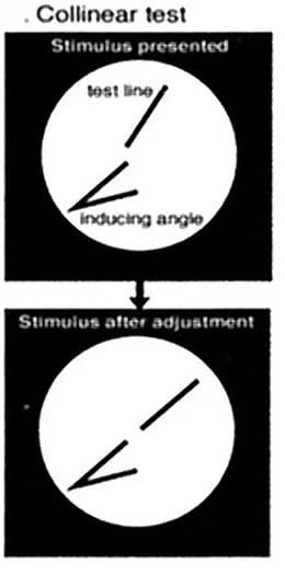 Open access visualization of Illustration, Behavioral Task