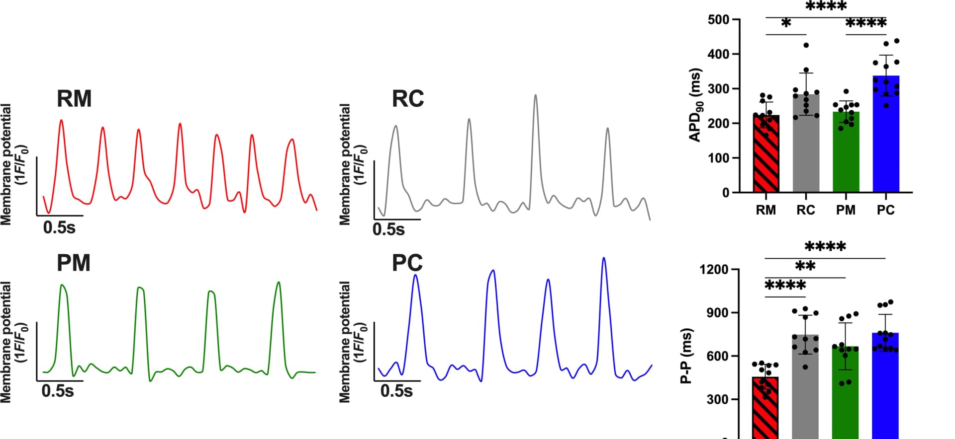 Open access visualization of Line Plot, Bar Plot, Error Bars, iPSC-aCMs, Electrical Maturity
