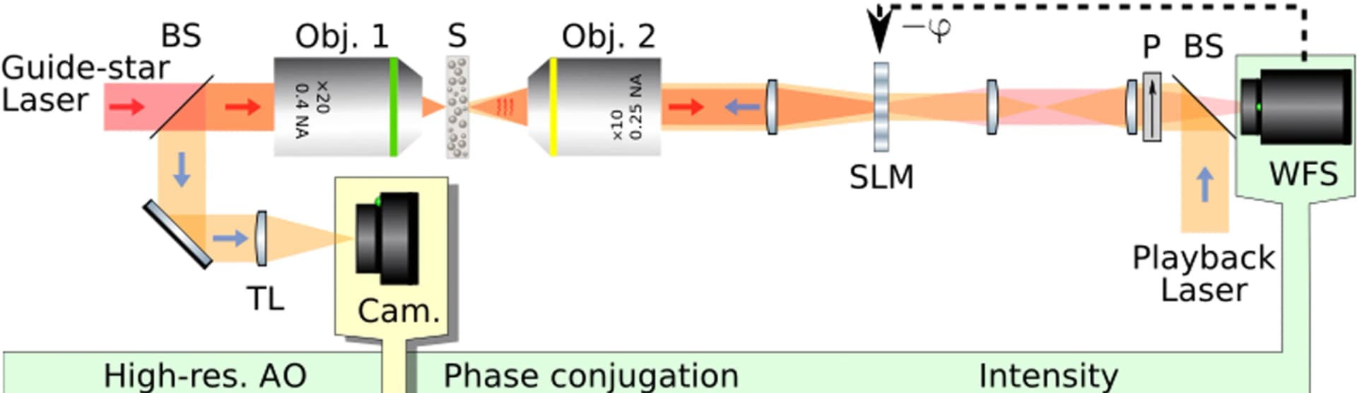 Open access visualization of Workflow, Flowchart, Illustration, DOPC, WFS