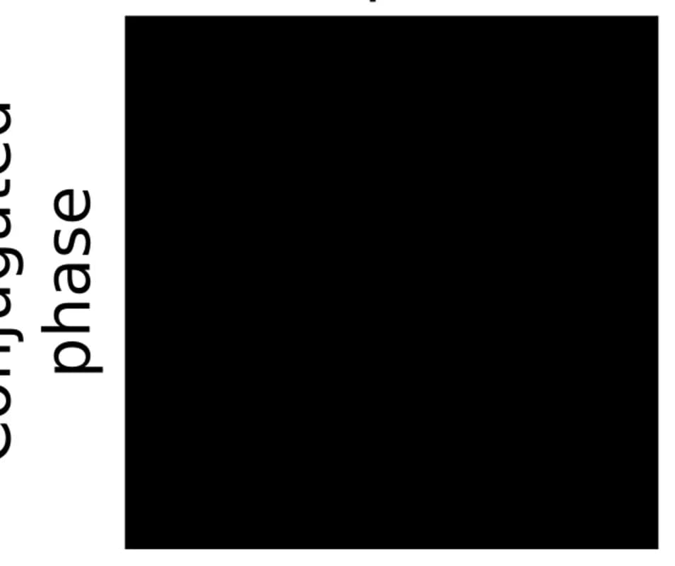 Open access visualization of Photo, Optical Vortices, DOPC, Surface Diffuser