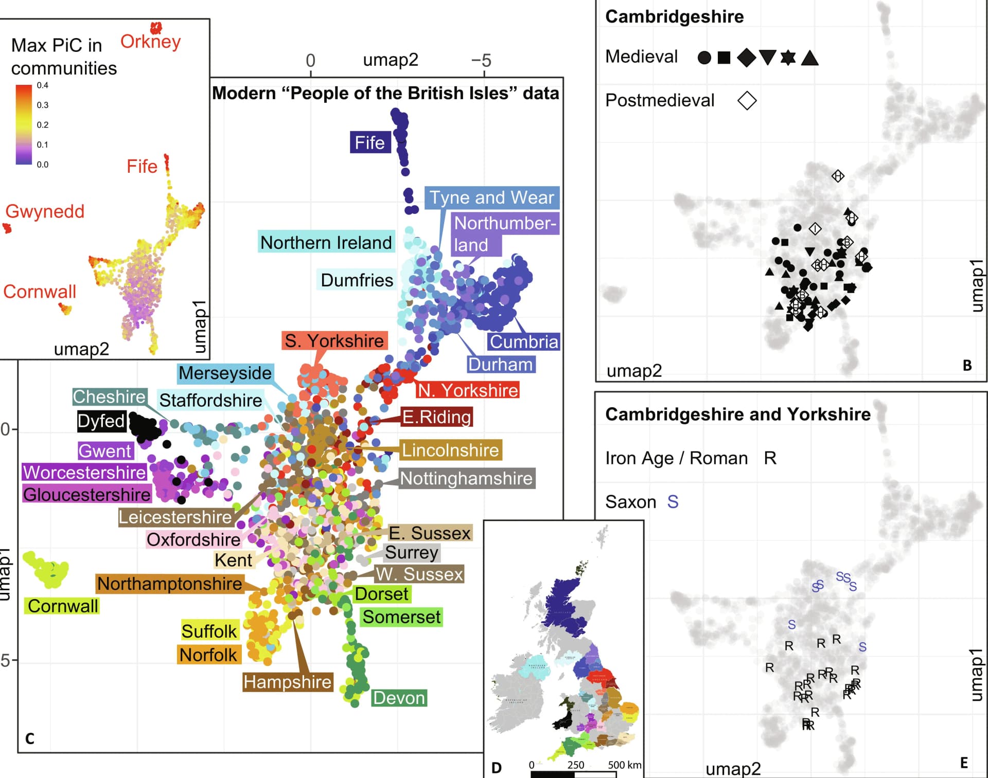Open access visualization of UMAP, Scatter Plot, Geo Map, UMAP Plot, Genomes