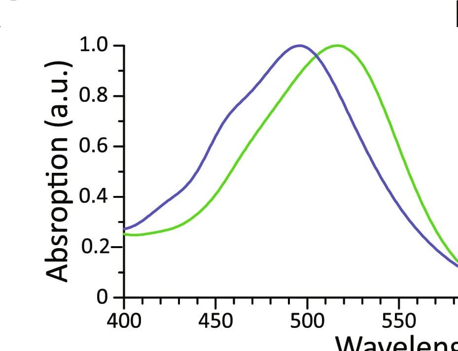 Open access visualization of Line Plot, Color Phenotype, PRs, Evolution, Residue