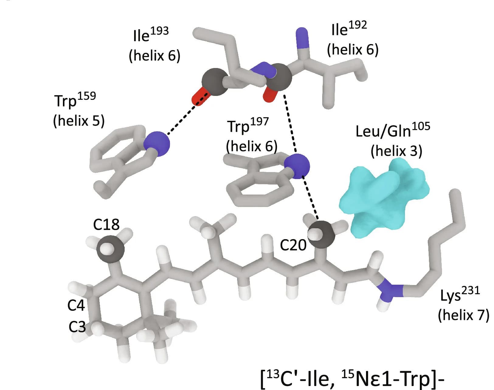 Open access visualization of Protein Structure, Chemical Structure, Color Mutation, Retinal Binding Pocket, GPR