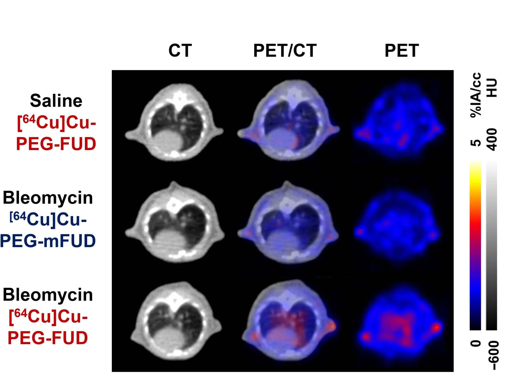 Open access visualization of Microscopy, Bleomycin, PET Imaging, CT Imaging, Radiodensity