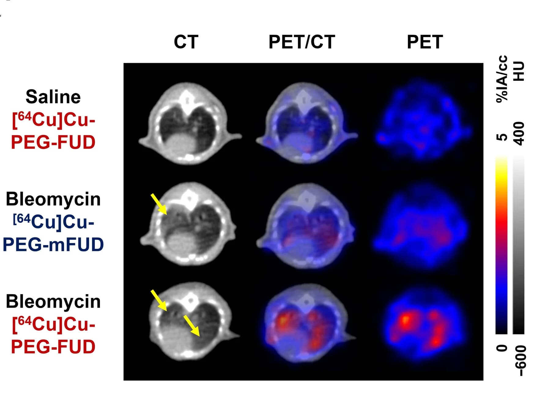 Open access visualization of Microscopy, PET, Lung, Radiodensity, Mice