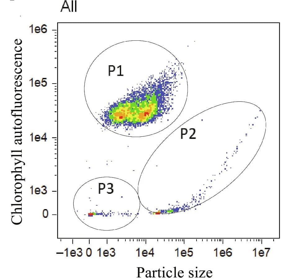 Open access visualization of Scatter Plot, Nanotube Formation, Vitality, Xenic Cultures, Synechococcus sp. PCC 7002