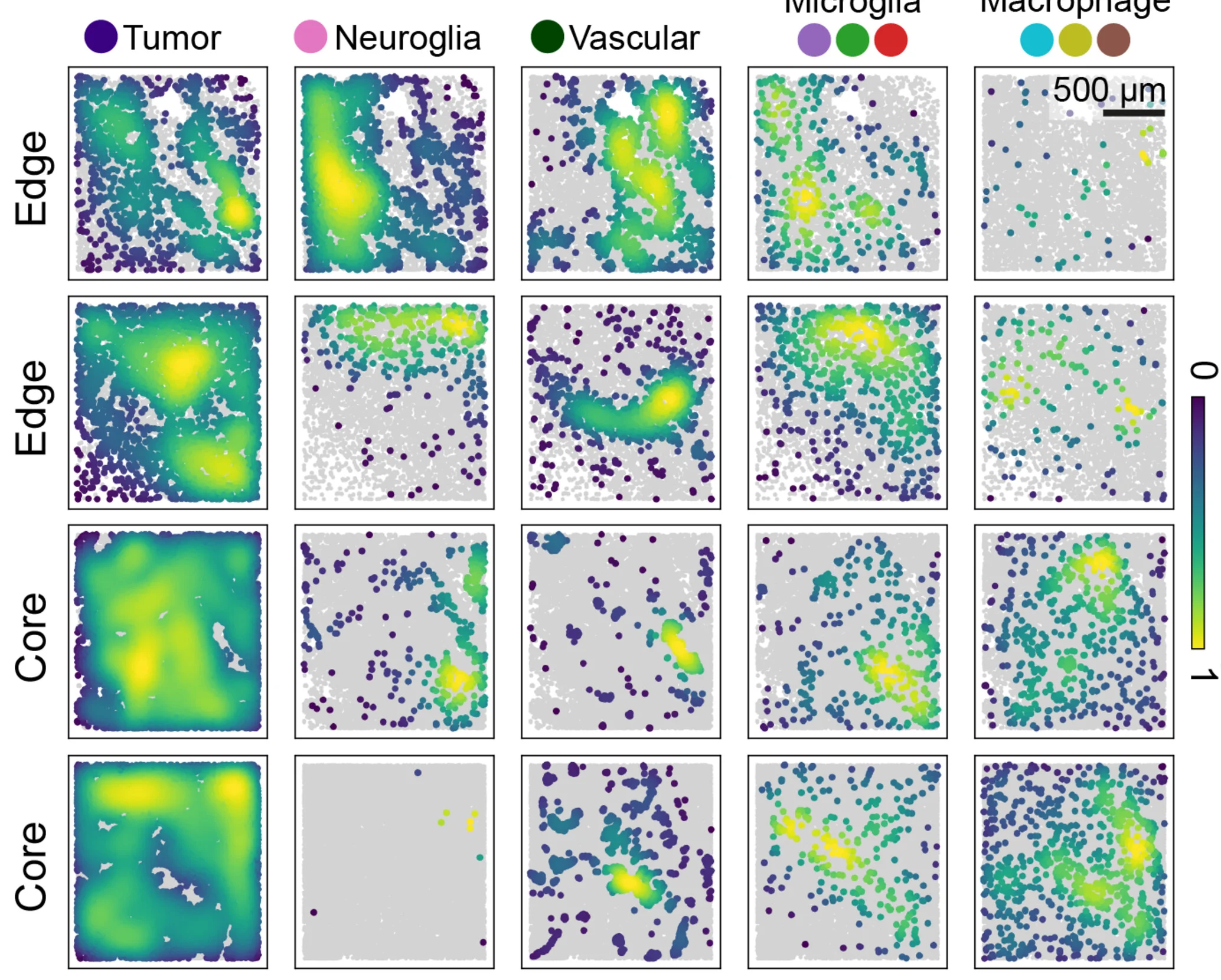 Open access visualization of Scatter Plot, Heatmap, Myeloid Cell, Tumor, Neuroglial