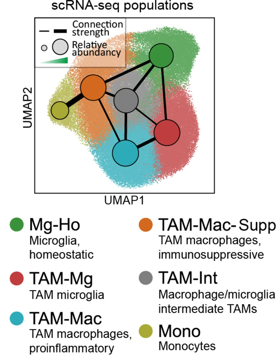 Open access visualization of UMAP, Network, Spatial Transcriptomics, Hypoxia, Chemokines