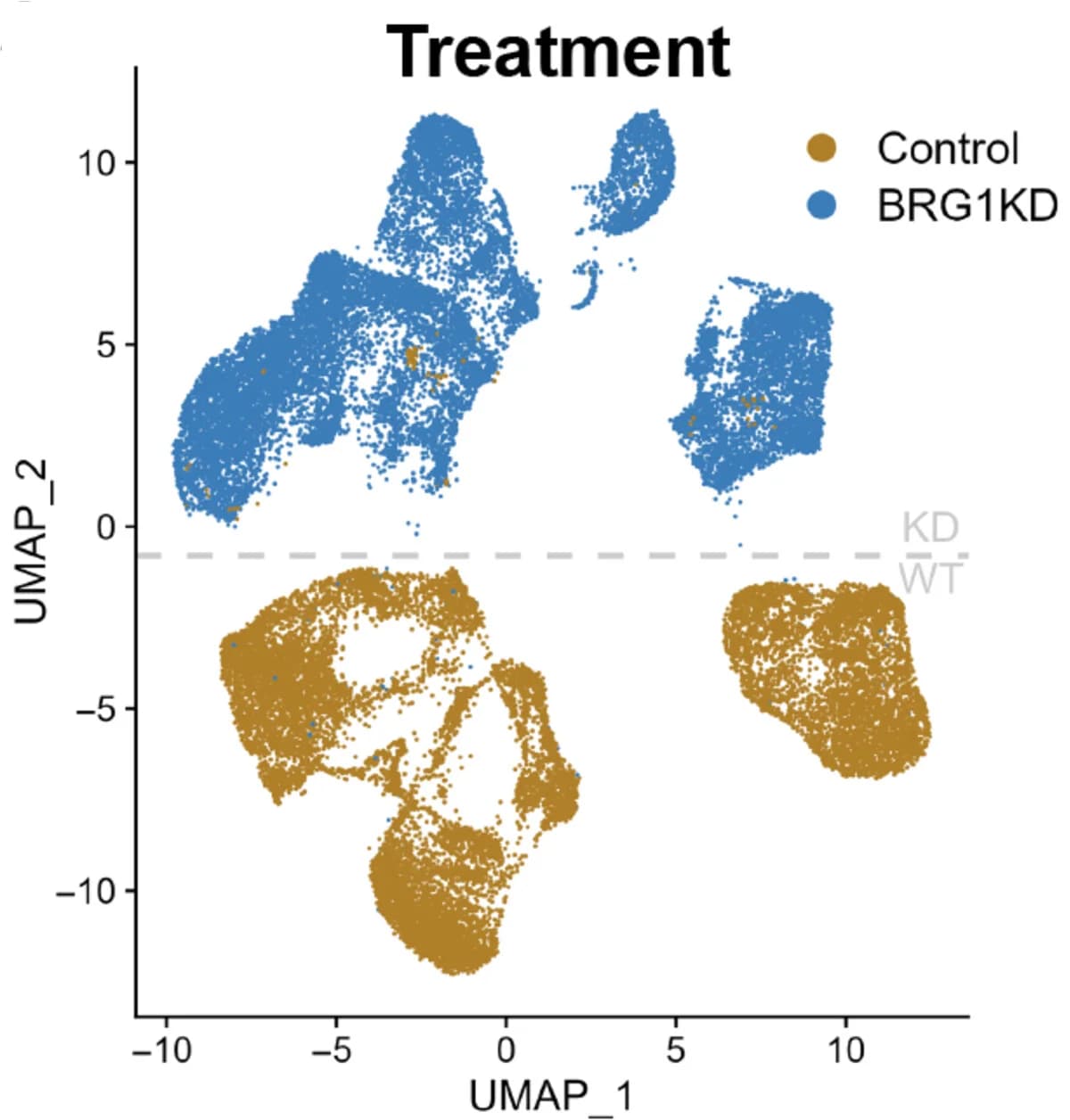Open access visualization of Scatter Plot, UMAP, scRNA-seq, Cell Populations, NPCs