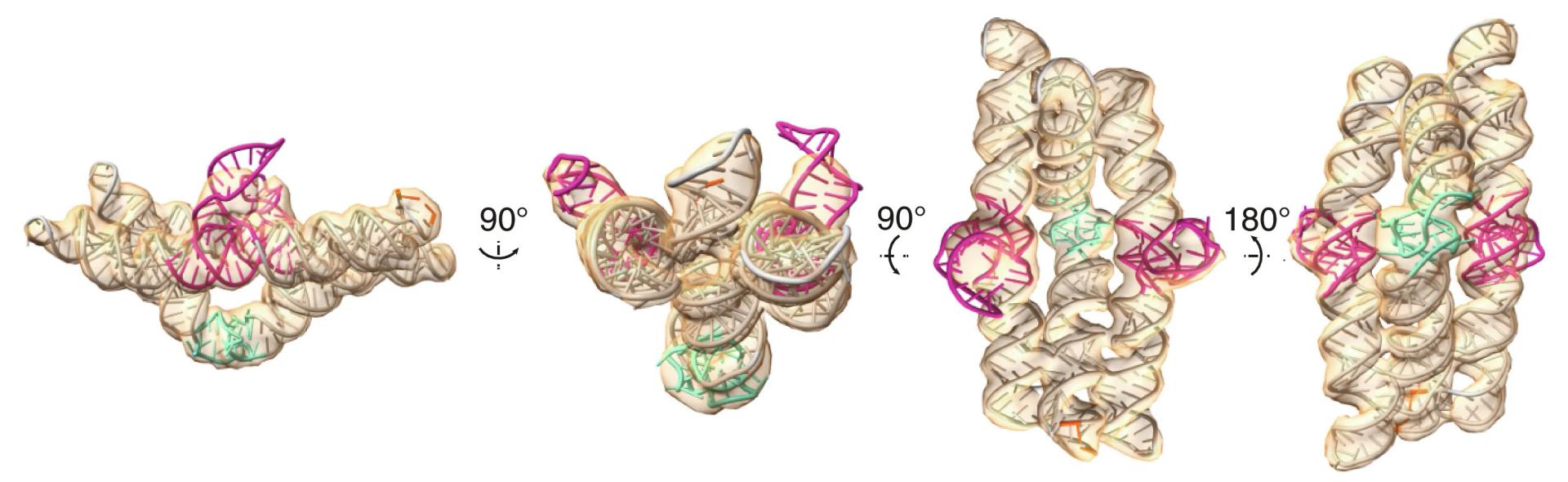 Open access visualization of Protein Structure, Chemical Structure, Cryo-EM, Traptamer