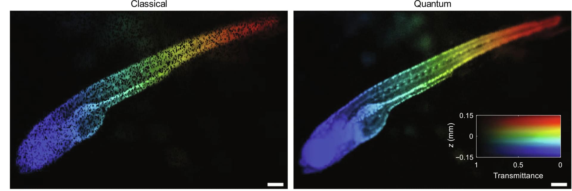 Open access visualization of Microscopy, Heatmap, ICE, Stray Light