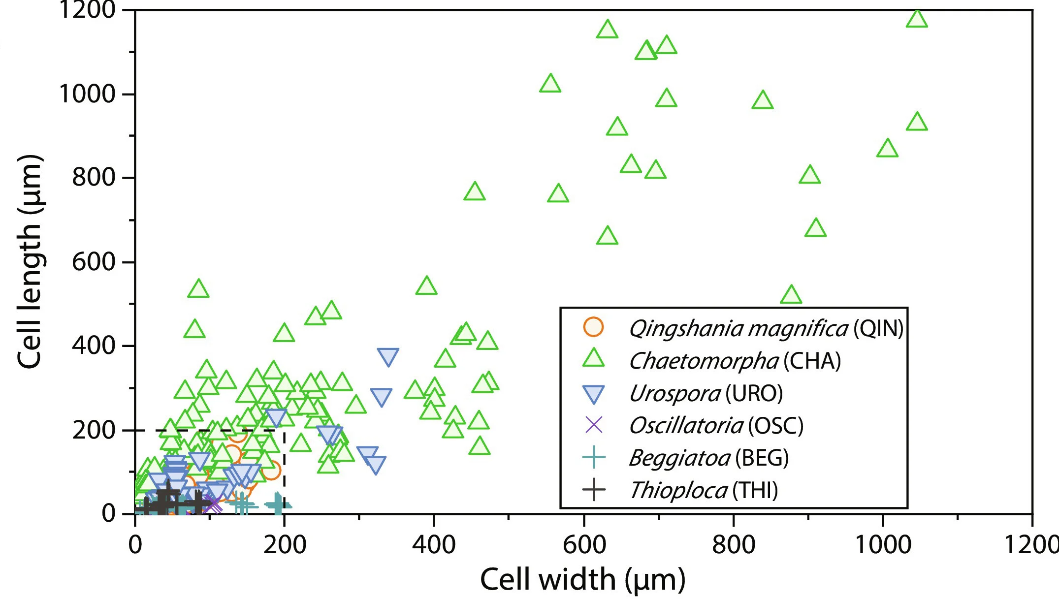 Open access visualization of Scatter Plot, Morphometric Analyses, Q. magnifica, Chuanlinggou Formation