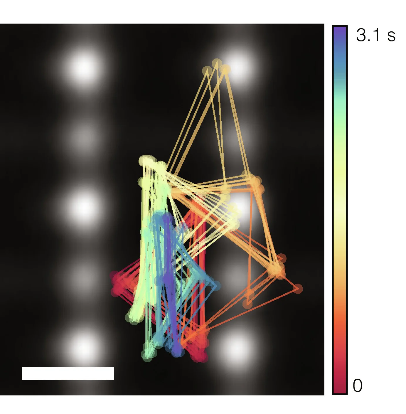 Open access visualization of Network, Microscopy, 3D Reconstruction, Pt Trimer, TiO 2