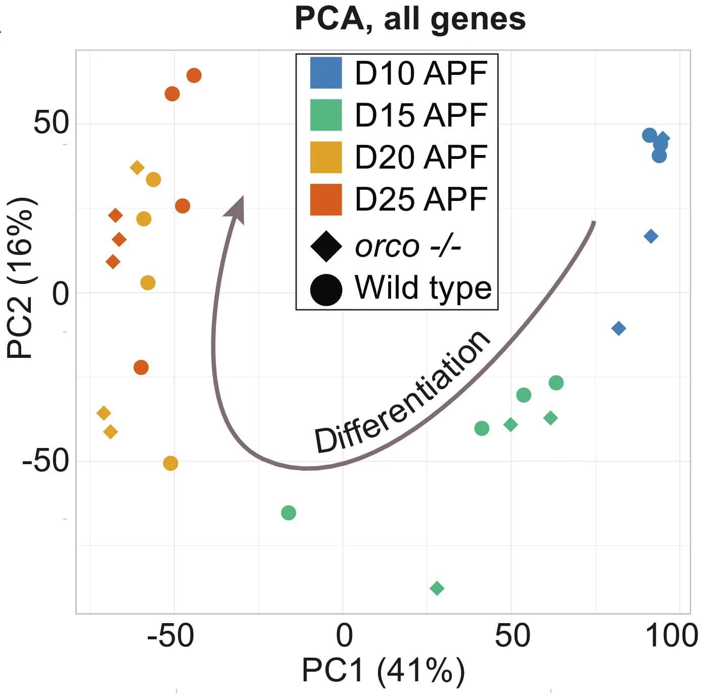 Open access visualization of Scatter Plot, PCA, Developmental Trajectory, WT Antennae, Orco Mutant Antennae