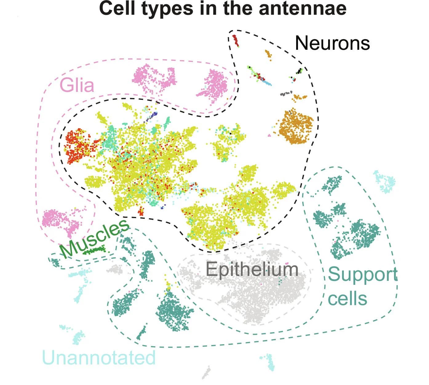 Open access visualization of Scatter Plot, UMAP, PCA, Cell Death, Single-Cell Resolution
