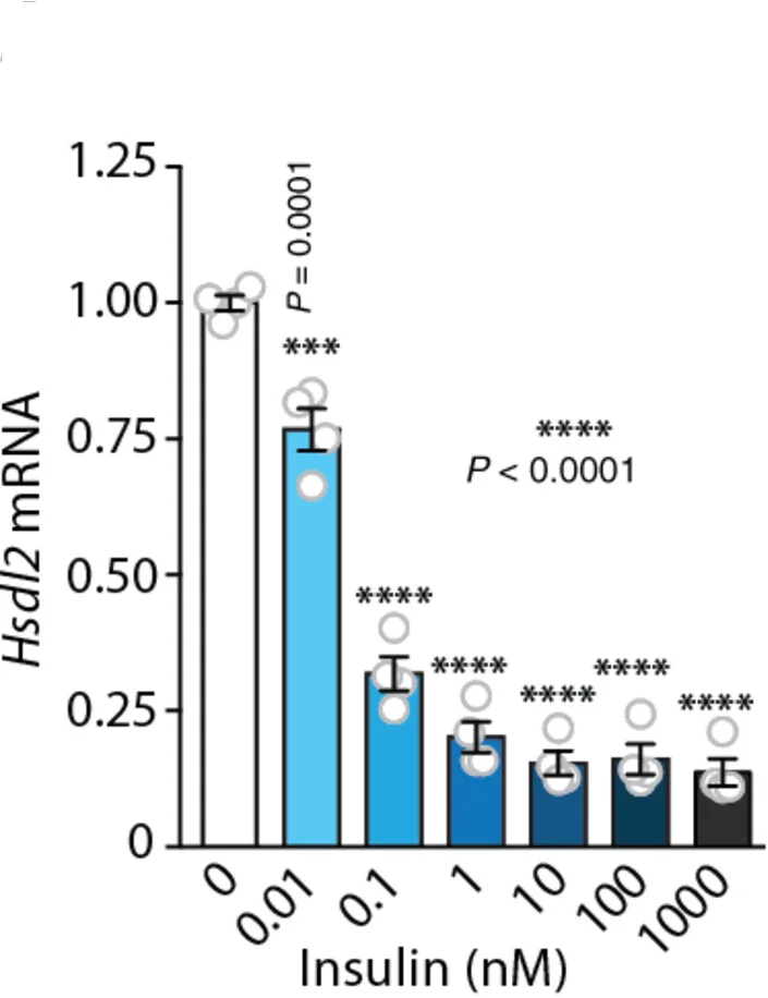 Open access visualization of Bar Plot, Error Bars, Hsdl2, Insulin, mTORC1