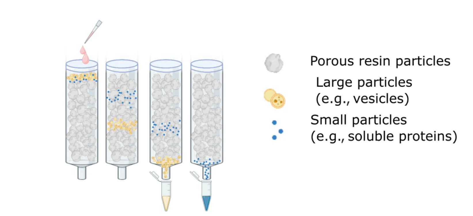 Open access visualization of Illustration, HSPB1, EVs, Extracellular Vesicles