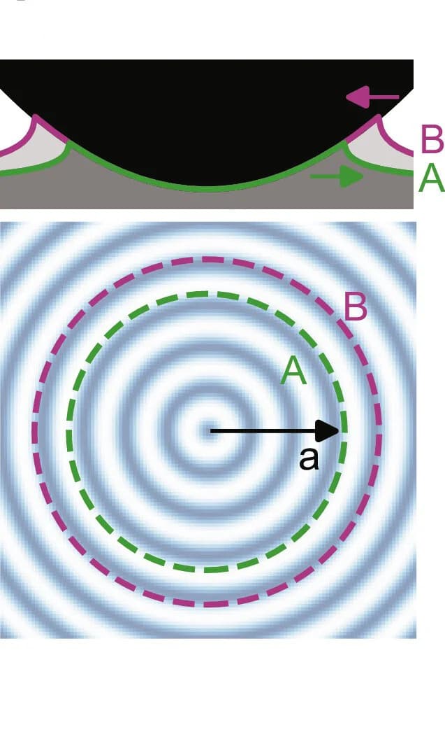 Open access visualization of Illustration, Adhesion Hysteresis, Axisymmetric Contact