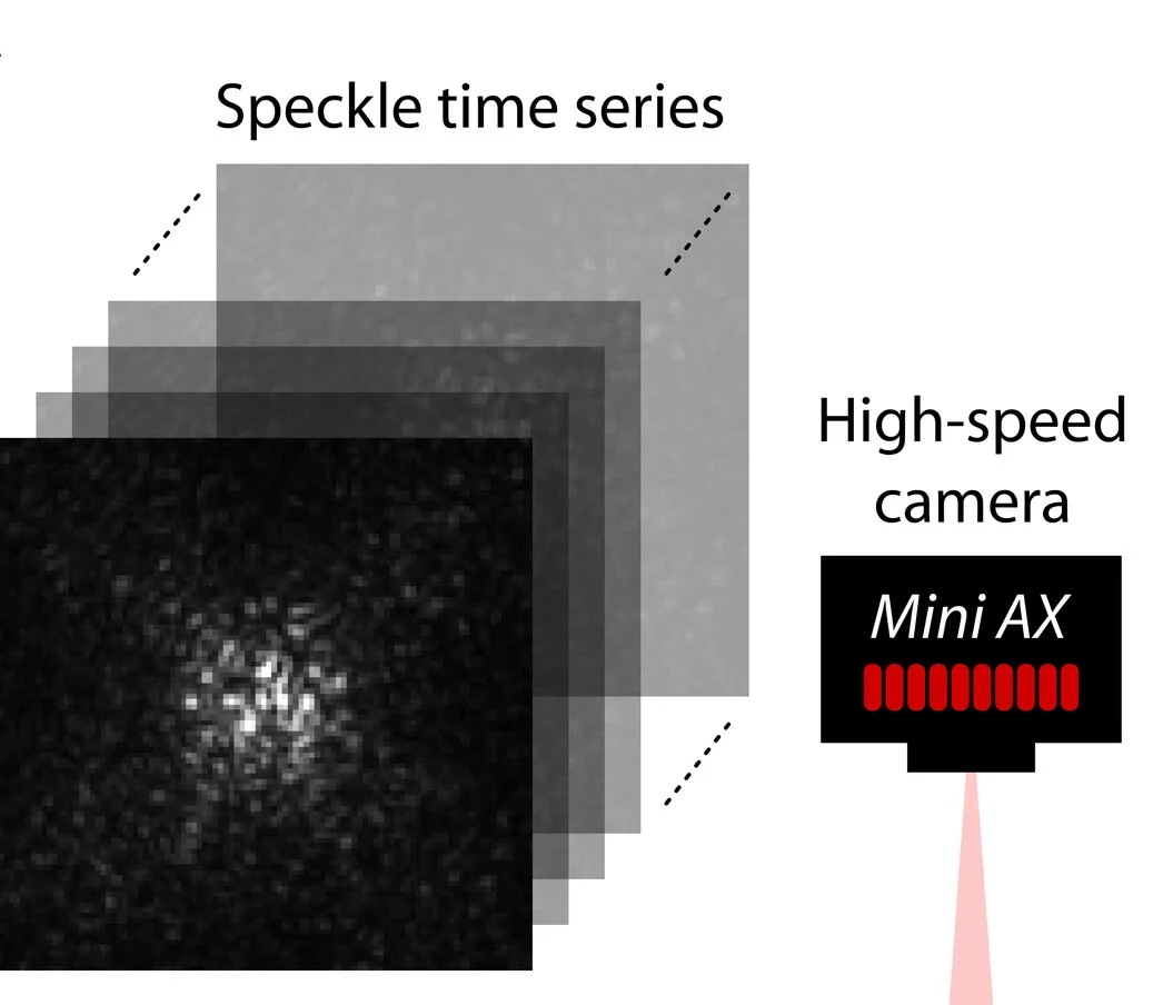 Open access visualization of Illustration, Workflow, Viscoelastic Spectra, Fibrin Constructs