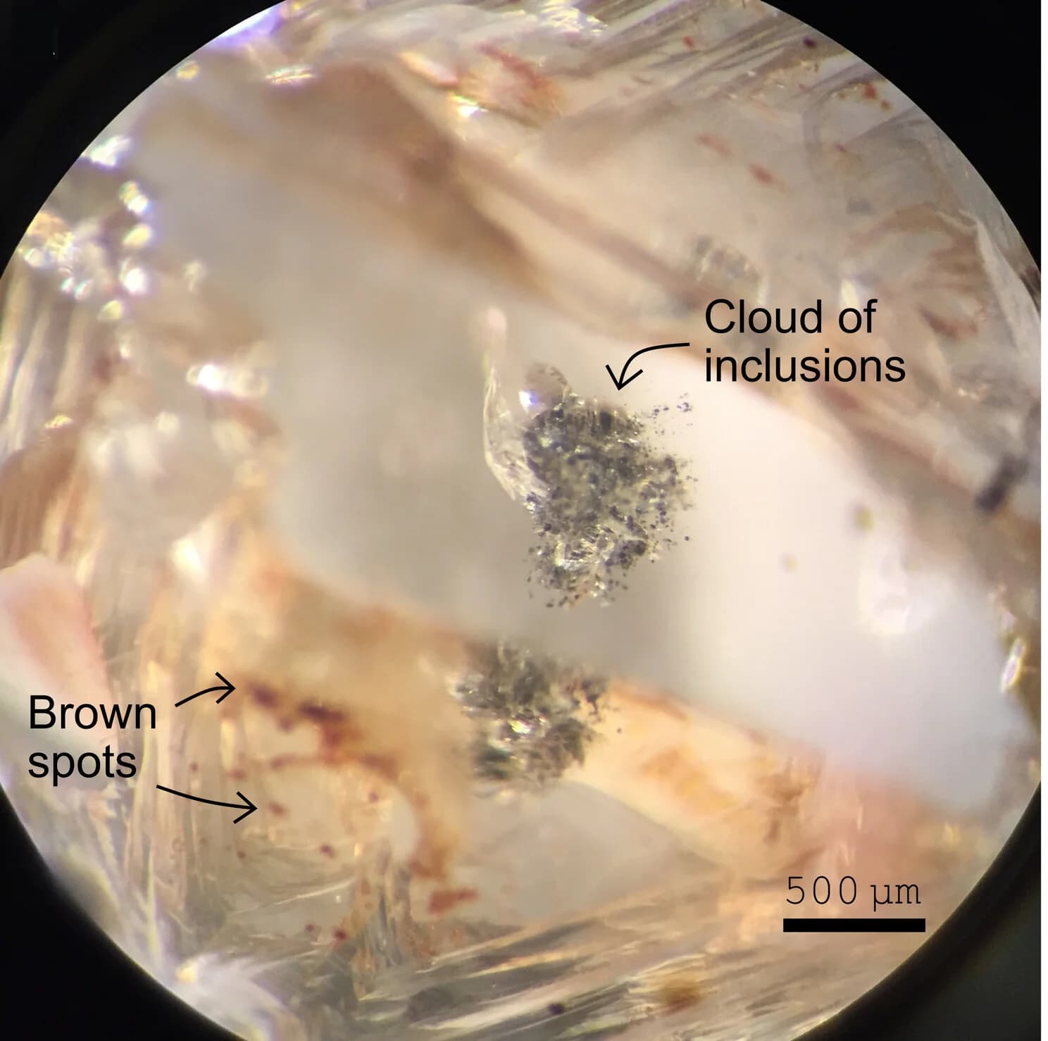 Open access visualization of Microscopy, Photo, Mineral Inclusions, Diamond