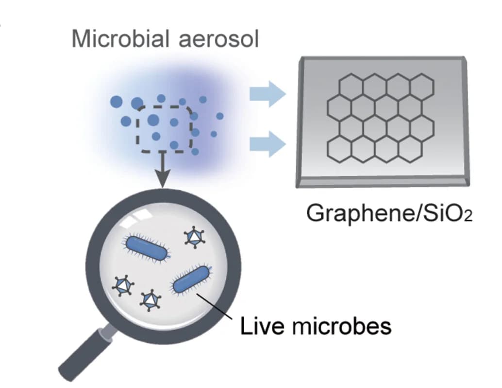 Open access visualization of Workflow, Illustration, Microbial Inactivation, TCD Device, Efficacy