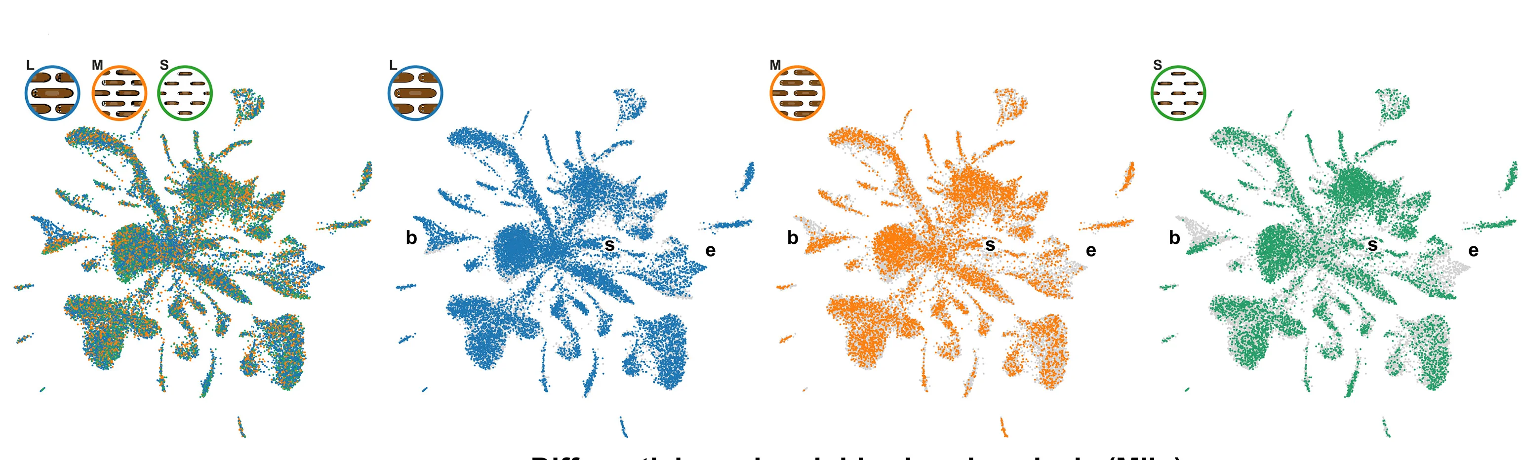 Open access visualization of Scatter Plot, UMAP, Cell-Type, Differential Abundance, Planarians