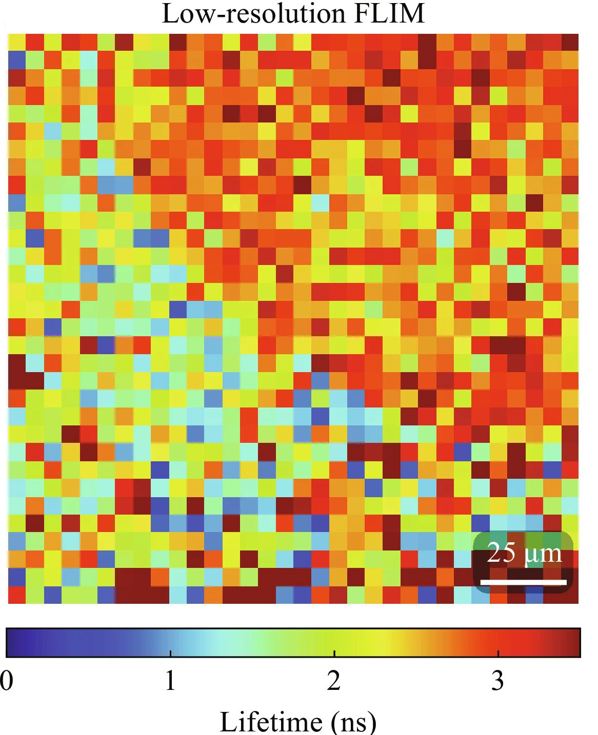 Open access visualization of Heatmap, Upsampling, MDCK Cells